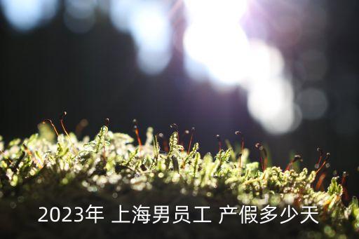 2023年 上海男員工 產(chǎn)假多少天