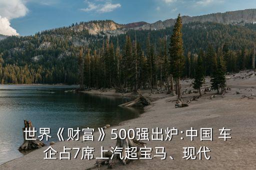 世界《財(cái)富》500強(qiáng)出爐:中國(guó) 車企占7席上汽超寶馬、現(xiàn)代