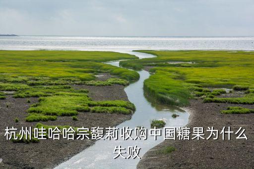 杭州哇哈哈宗馥莉收購(gòu)中國(guó)糖果為什么失敗