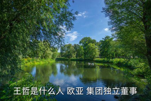 長(zhǎng)春歐亞集團(tuán)股份有限公司性質(zhì)