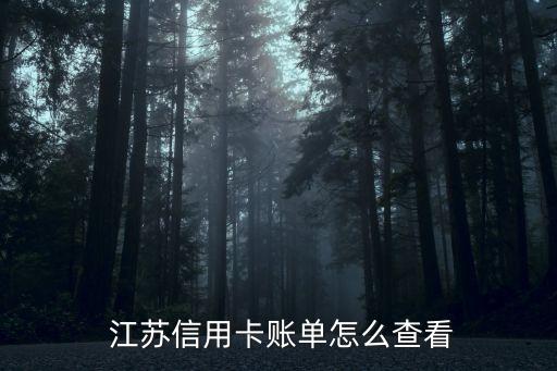  江蘇信用卡賬單怎么查看