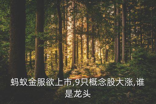 螞蟻金服欲上市,9只概念股大漲,誰是龍頭