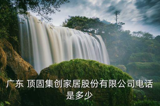 頂固股票什么時間開始發(fā)行