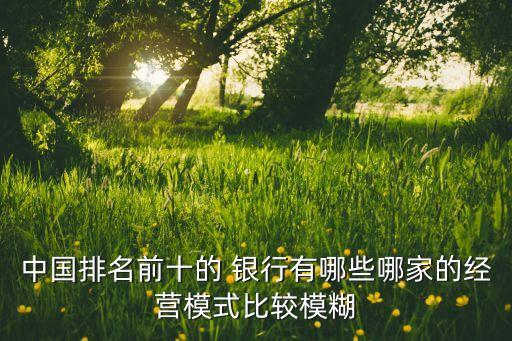 中國排名前十的 銀行有哪些哪家的經營模式比較模糊