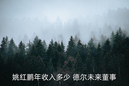 姚紅鵬年收入多少 德?tīng)栁磥?lái)董事