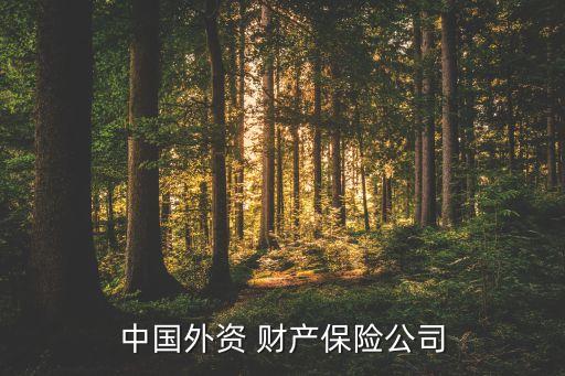 中國外資 財(cái)產(chǎn)保險(xiǎn)公司