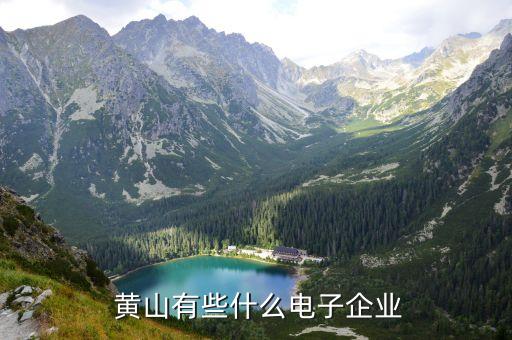 黃山文化上市公司,文化傳媒上市公司排名