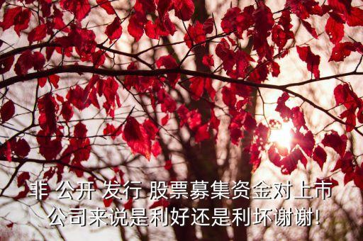 公司非公開發(fā)行股票是什么意思,非公開發(fā)行可轉(zhuǎn)債是什么意思