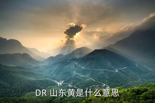 DR 山東黃是什么意思