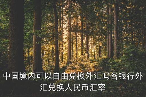 中國境內可以自由兌換外匯嗎各銀行外匯兌換人民幣匯率