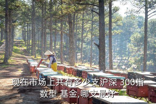 現(xiàn)在市場上共有多少支滬深 300指數(shù)型 基金,哪支最好