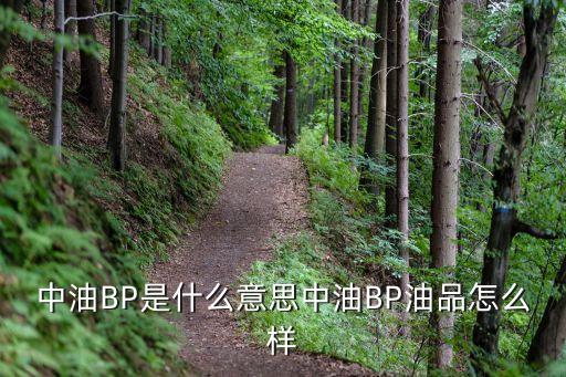 中國石油bp