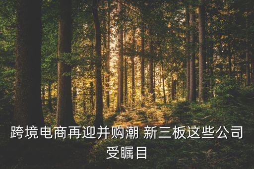 跨境電商再迎并購(gòu)潮 新三板這些公司受矚目