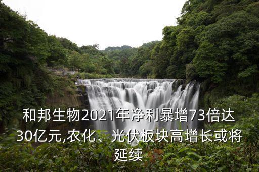 和邦生物2021年凈利暴增73倍達(dá)30億元,農(nóng)化、光伏板塊高增長(zhǎng)或?qū)⒀永m(xù)