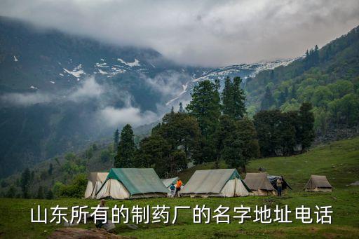 山東微山湖稀土有限公司