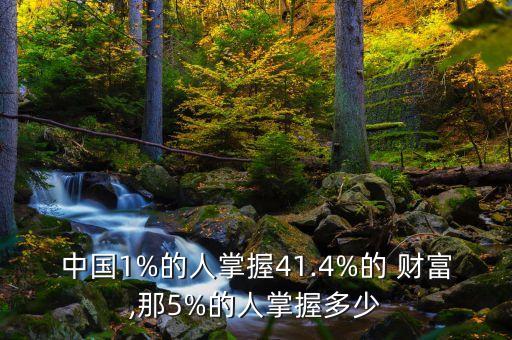 中國(guó)1%的人掌握41.4%的 財(cái)富,那5%的人掌握多少