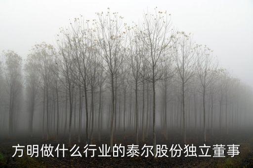 方明做什么行業(yè)的泰爾股份獨(dú)立董事