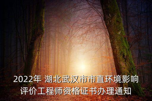 2022年 湖北武漢市市直環(huán)境影響評(píng)價(jià)工程師資格證書辦理通知