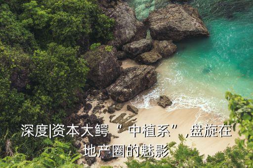 深度|資本大鱷“ 中植系”,盤旋在地產圈的魅影