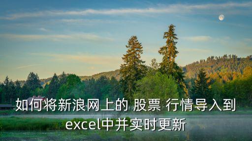 如何將新浪網上的 股票 行情導入到excel中并實時更新