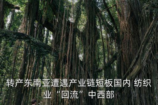 在越南開廠的紡織業(yè)上市公司