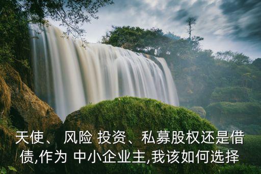 天使、 風(fēng)險 投資、私募股權(quán)還是借債,作為 中小企業(yè)主,我該如何選擇