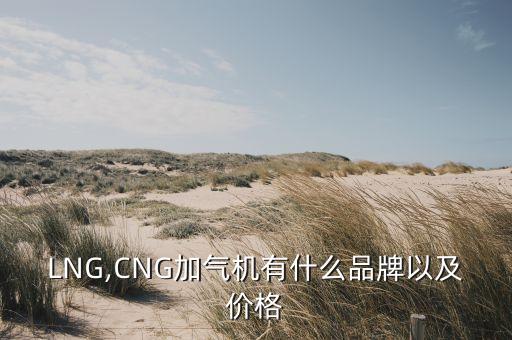 LNG,CNG加氣機有什么品牌以及價格