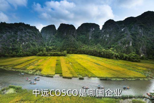 中遠(yuǎn)COSCO是哪國企業(yè)