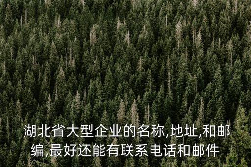  湖北省大型企業(yè)的名稱,地址,和郵編,最好還能有聯(lián)系電話和郵件