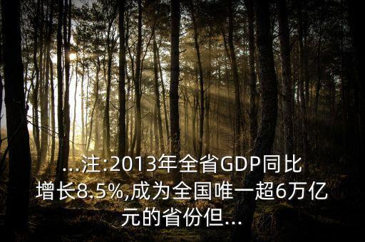 ...注:2013年全省GDP同比增長8.5%,成為全國唯一超6萬億元的省份但...