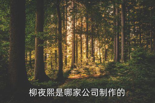 廈門創(chuàng)壹軟件科技有限公司,廈門傳一科技