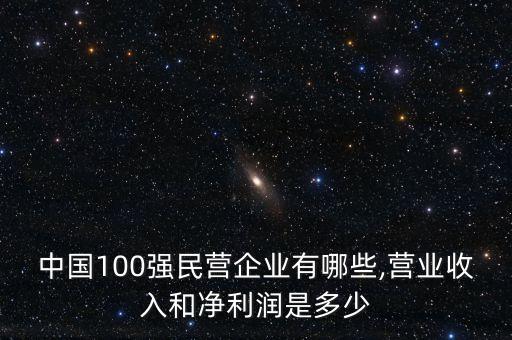 中國100強民營企業(yè)有哪些,營業(yè)收入和凈利潤是多少