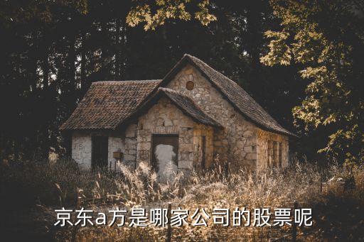  京東a方是哪家公司的股票呢