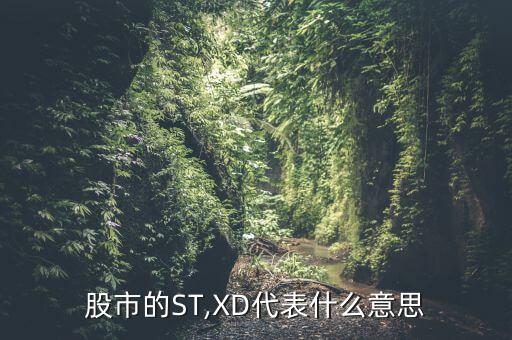 上市公司各種數據英文縮寫