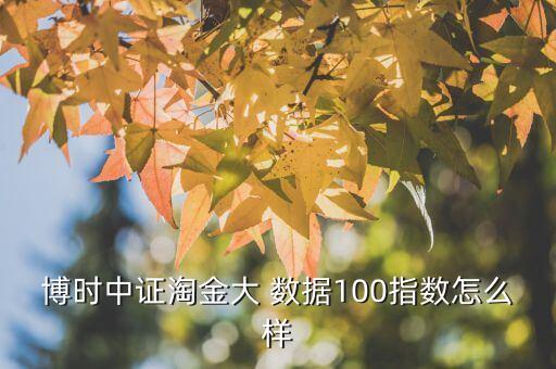 博時(shí)中證淘金大 數(shù)據(jù)100指數(shù)怎么樣