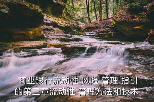  商業(yè)銀行流動性 風險 管理 指引的第三章流動性 管理方法和技術