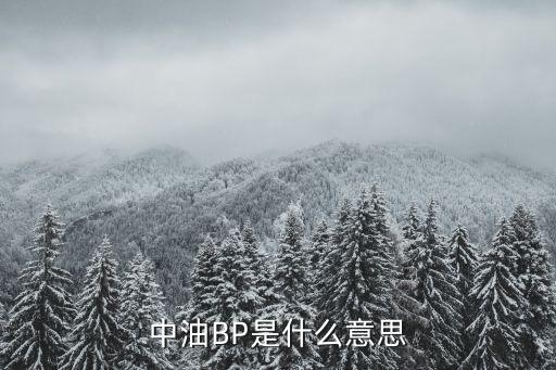 中油BP是什么意思