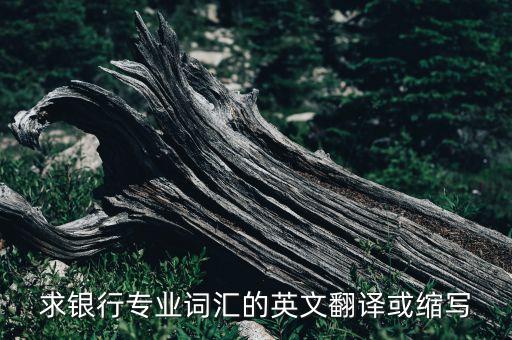 求銀行專業(yè)詞匯的英文翻譯或縮寫