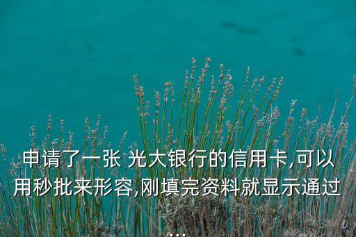 申請了一張 光大銀行的信用卡,可以用秒批來形容,剛填完資料就顯示通過...