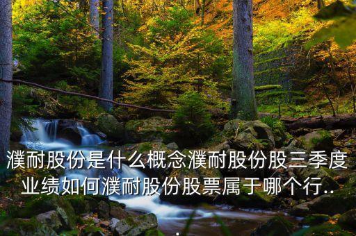 濮耐股份是什么概念濮耐股份股三季度業(yè)績?nèi)绾五凸煞莨善睂儆谀膫€行...