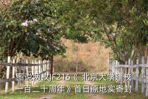 圖說兩枚JF216《 北京大學(xué)建校一百二十周年》首日原地實寄封