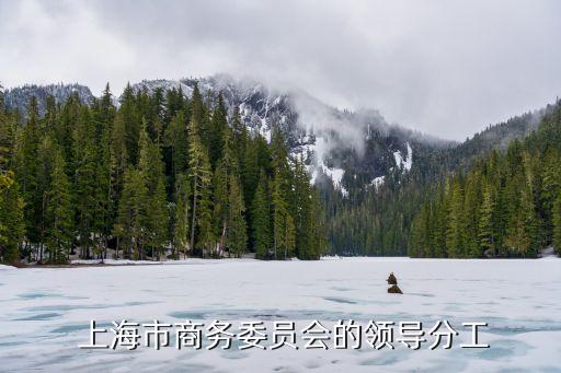 第二屆中國上海國際技術(shù)進出口交易會