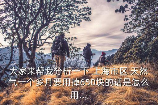 大家來幫我分析一下 上海市區(qū) 天然氣一個(gè)多月要用掉650塊的話是怎么用...