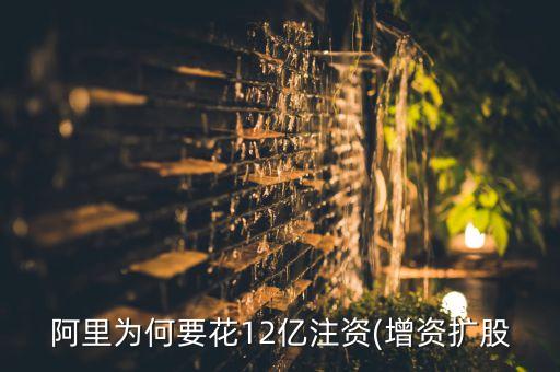 阿里為何要花12億注資(增資擴股