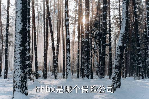 hhbx是哪個(gè)保險(xiǎn)公司