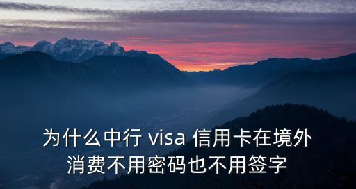 中國(guó)銀行環(huán)球通信用卡visa