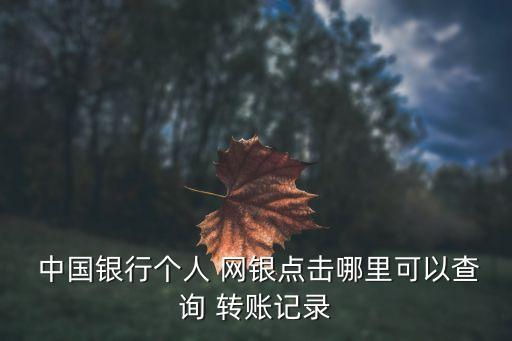  中國銀行個人 網(wǎng)銀點擊哪里可以查詢 轉(zhuǎn)賬記錄