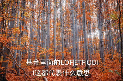  基金里面的LOF|ETF|QDII這都代表什么意思