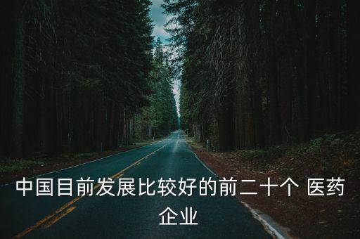 中國目前發(fā)展比較好的前二十個(gè) 醫(yī)藥企業(yè)