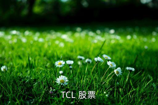 TCL 股票